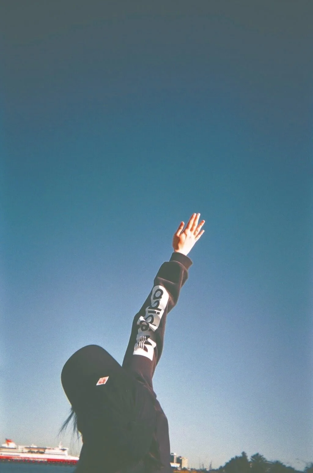 A hand reaching toward the blue sky, from Shiho's original Daily Opp website